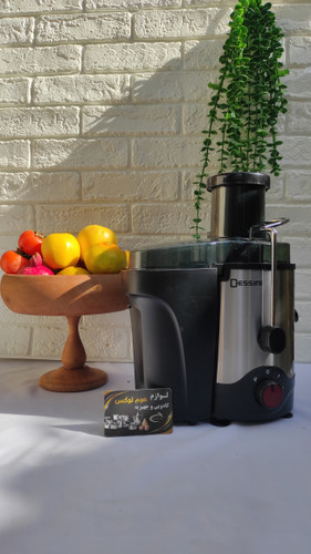 آبمیوه گیری تک کاره دسینی ds_599